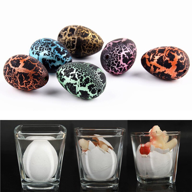 Dinosaur Eggs Toy