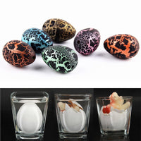 Dinosaur Eggs Toy