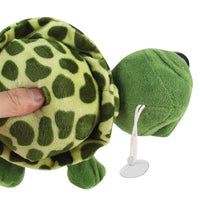Turtle Soft Plush