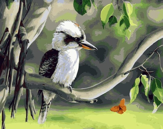 Bird Oil Painting By Numbers