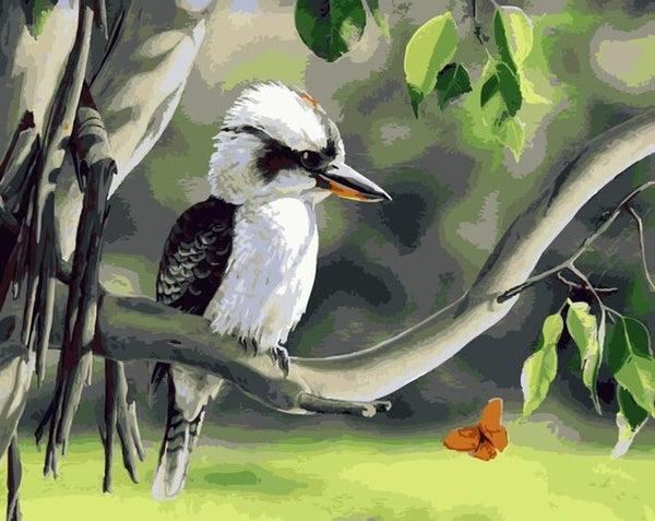 Bird Oil Painting By Numbers