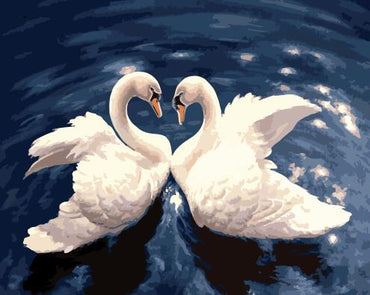Swans Oil Painting By Numbers