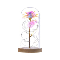 Eternal Flower LED String Light