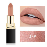 Nude Waterproof  Lipstick Cosmetics