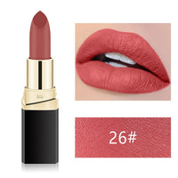 Nude Waterproof  Lipstick Cosmetics