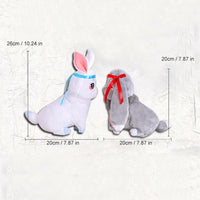 Rabbit Plush Toy Set