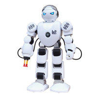 Intelligent Robot Toy
