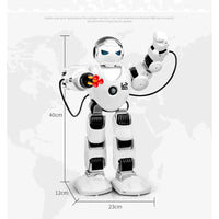 Intelligent Robot Toy