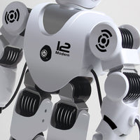 Intelligent Robot Toy