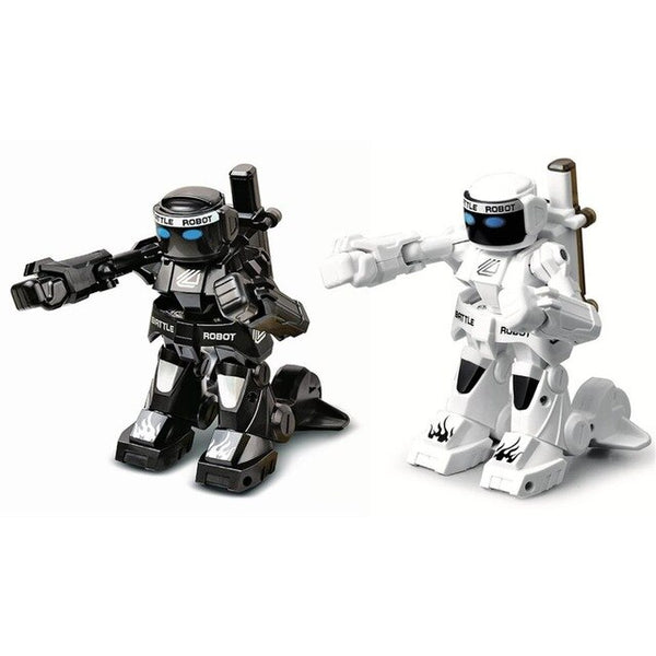 RC Battle Robot